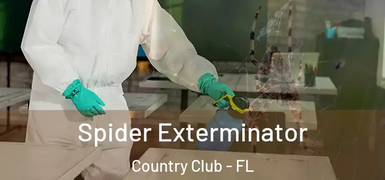 Spider Exterminator Country Club - FL