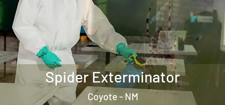  Spider Exterminator Coyote - NM