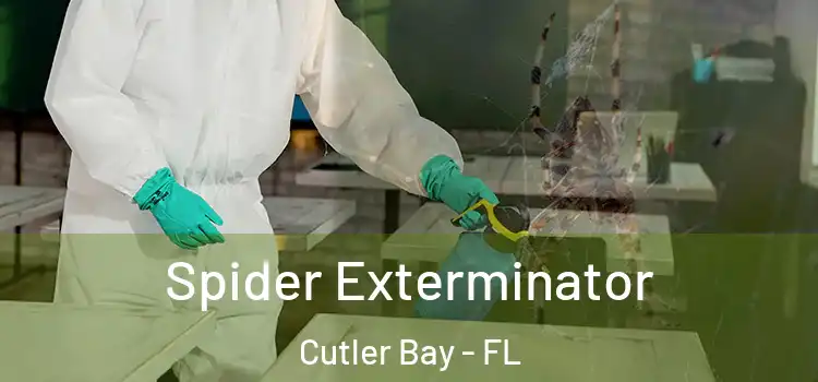Spider Exterminator Cutler Bay - FL