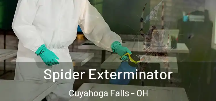  Spider Exterminator Cuyahoga Falls - OH
