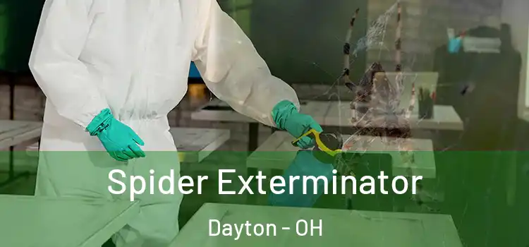 Spider Exterminator Dayton - OH
