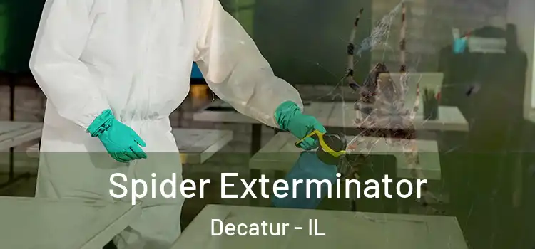  Spider Exterminator Decatur - IL
