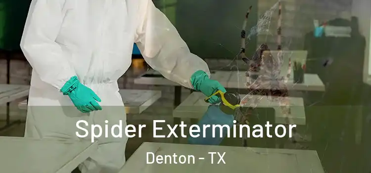  Spider Exterminator Denton - TX