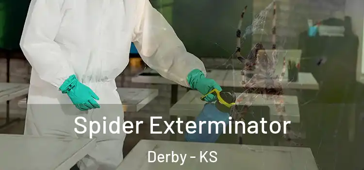  Spider Exterminator Derby - KS