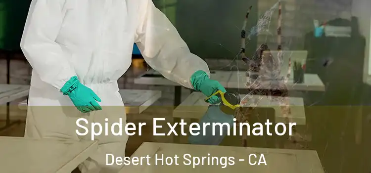 Spider Exterminator Desert Hot Springs - CA
