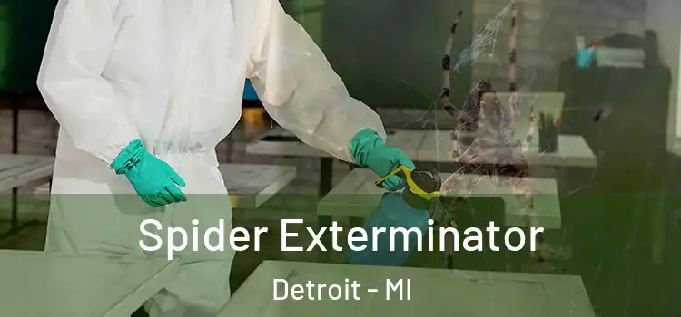  Spider Exterminator Detroit - MI