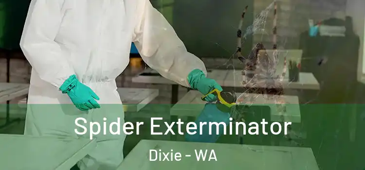  Spider Exterminator Dixie - WA