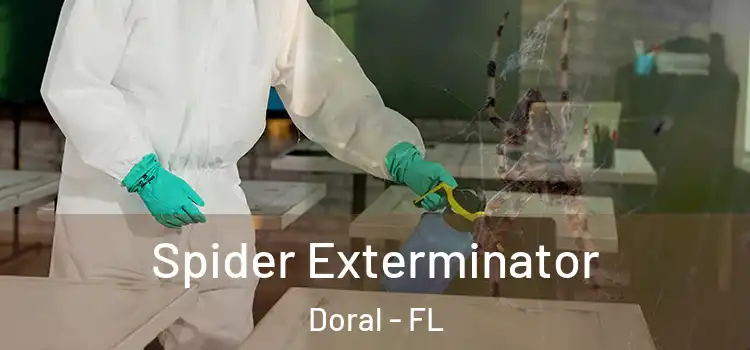  Spider Exterminator Doral - FL
