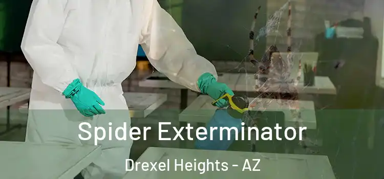  Spider Exterminator Drexel Heights - AZ