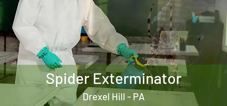  Spider Exterminator Drexel Hill - PA