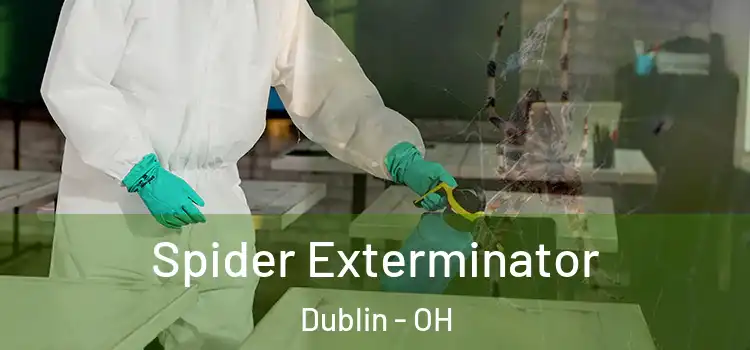 Spider Exterminator Dublin - OH