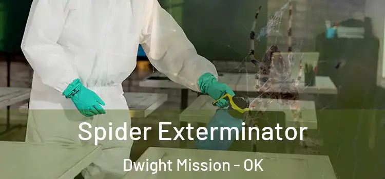  Spider Exterminator Dwight Mission - OK