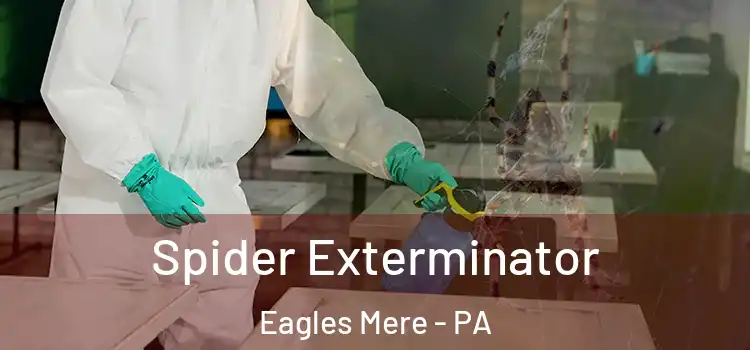  Spider Exterminator Eagles Mere - PA