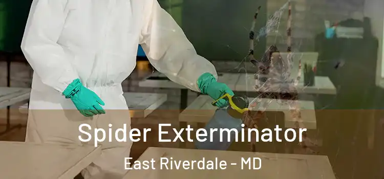 Spider Exterminator East Riverdale - MD