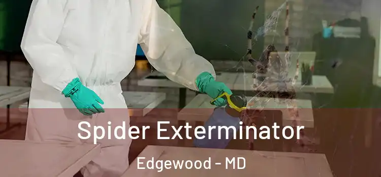  Spider Exterminator Edgewood - MD