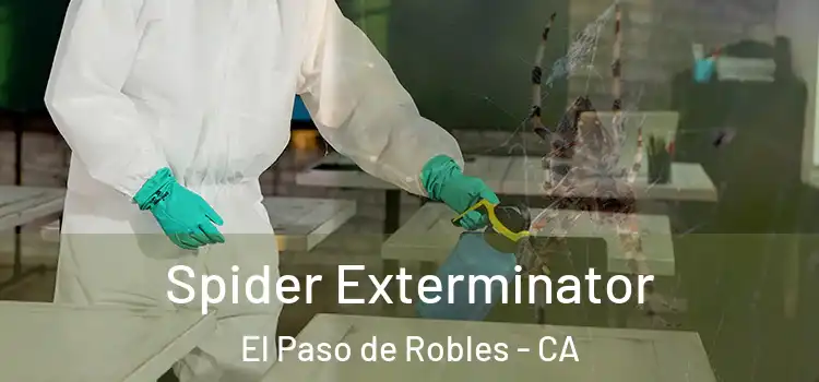 Spider Exterminator El Paso de Robles - CA