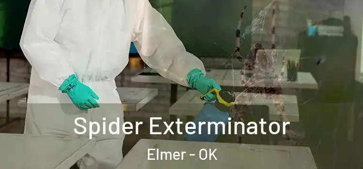  Spider Exterminator Elmer - OK