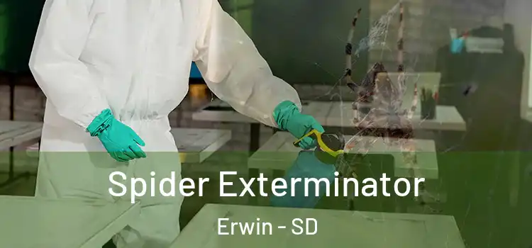  Spider Exterminator Erwin - SD
