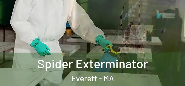  Spider Exterminator Everett - MA