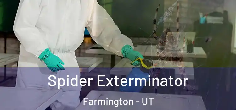  Spider Exterminator Farmington - UT
