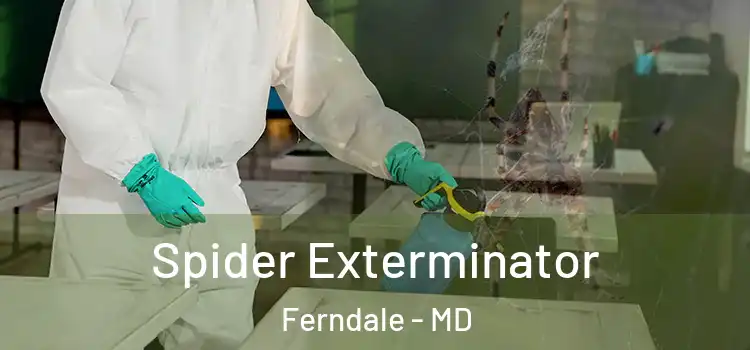 Spider Exterminator Ferndale - MD