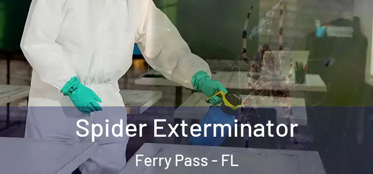  Spider Exterminator Ferry Pass - FL