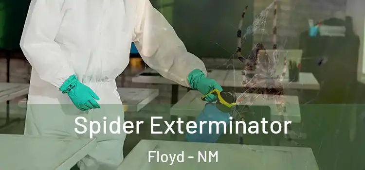  Spider Exterminator Floyd - NM