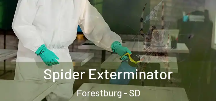  Spider Exterminator Forestburg - SD