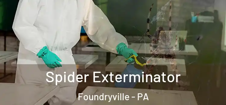  Spider Exterminator Foundryville - PA