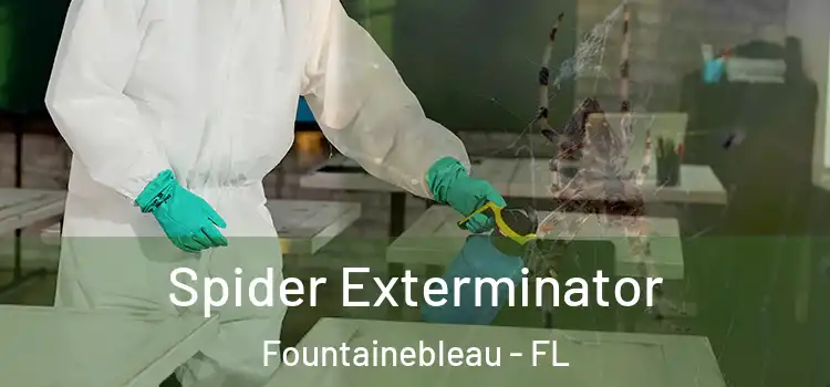  Spider Exterminator Fountainebleau - FL