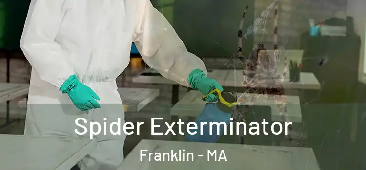  Spider Exterminator Franklin - MA