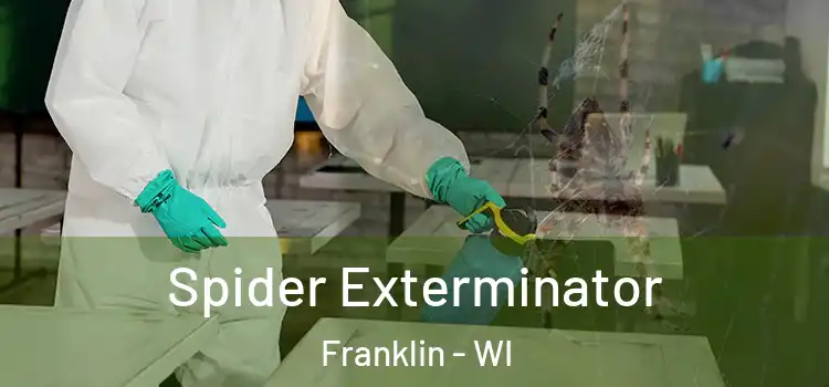  Spider Exterminator Franklin - WI