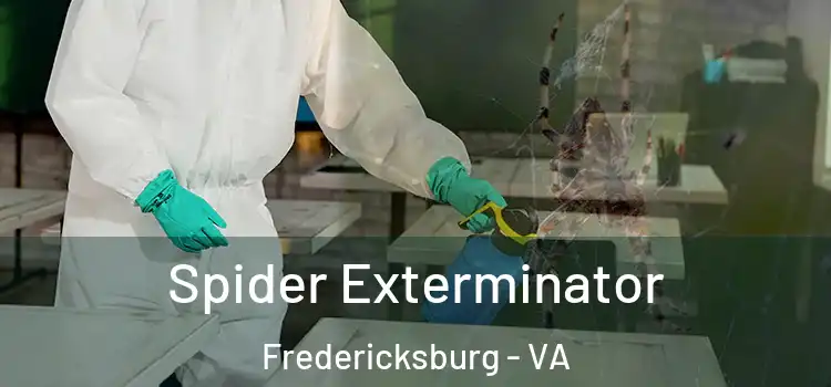  Spider Exterminator Fredericksburg - VA