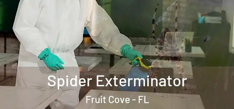  Spider Exterminator Fruit Cove - FL