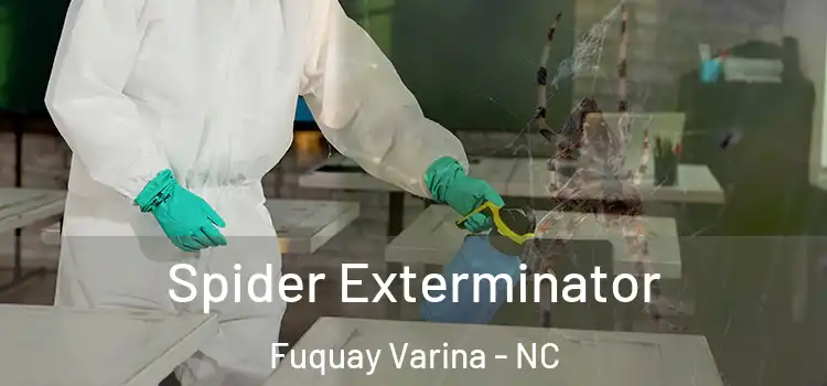  Spider Exterminator Fuquay Varina - NC