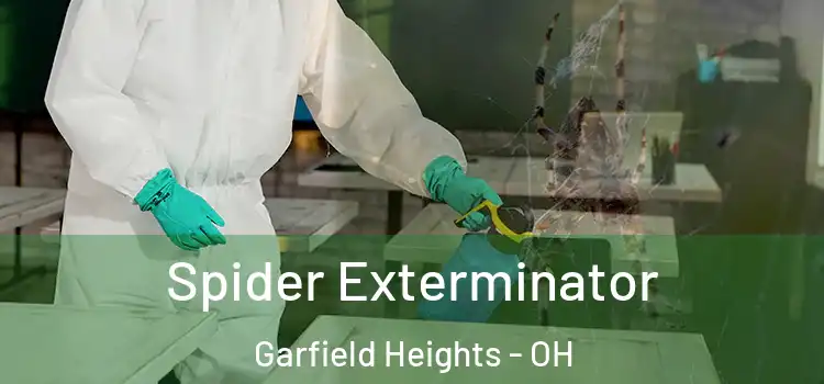 Spider Exterminator Garfield Heights - OH