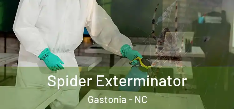  Spider Exterminator Gastonia - NC