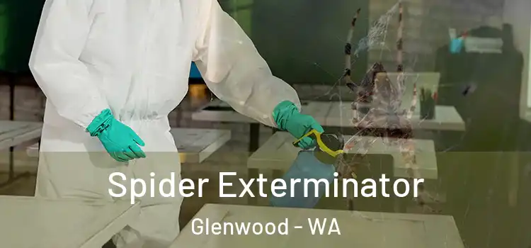  Spider Exterminator Glenwood - WA