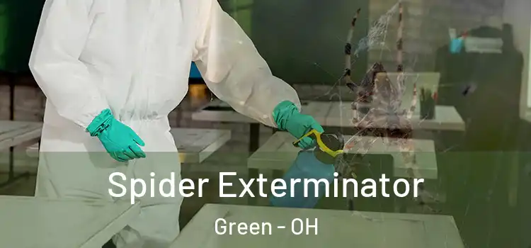  Spider Exterminator Green - OH