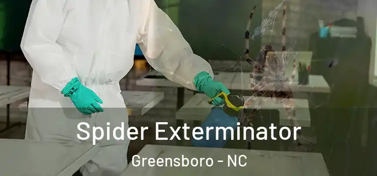  Spider Exterminator Greensboro - NC