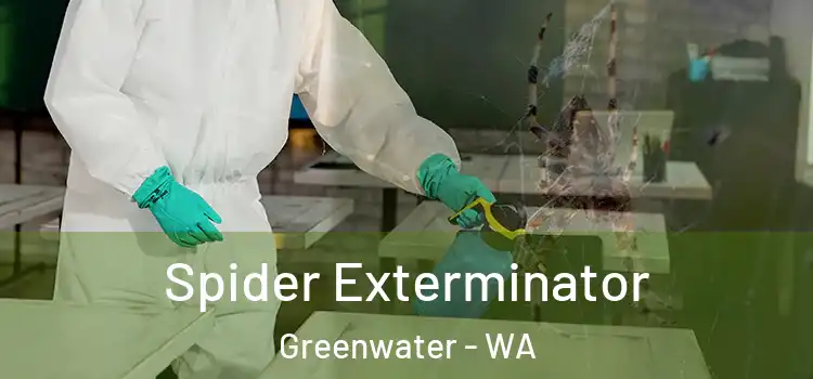  Spider Exterminator Greenwater - WA