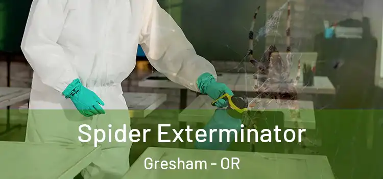  Spider Exterminator Gresham - OR