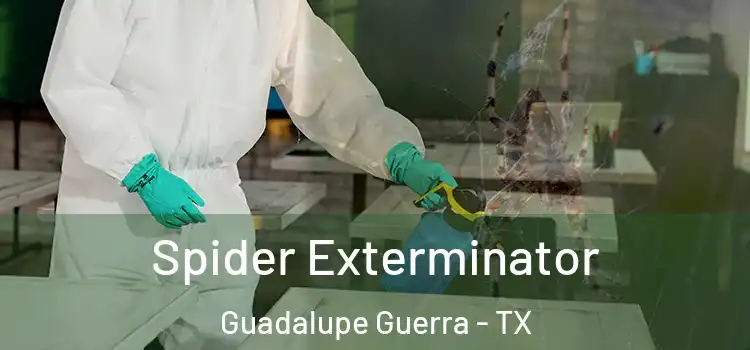  Spider Exterminator Guadalupe Guerra - TX
