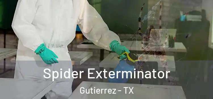 Spider Exterminator Gutierrez - TX