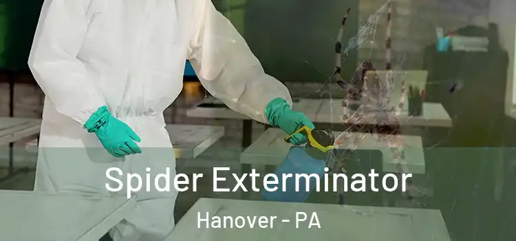  Spider Exterminator Hanover - PA