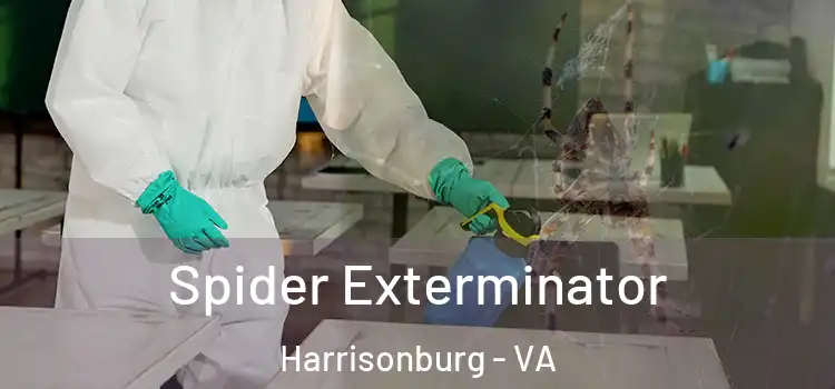 Spider Exterminator Harrisonburg - VA