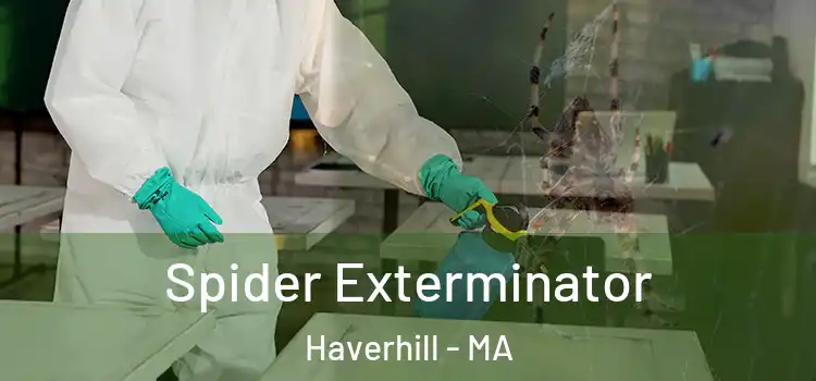 Spider Exterminator Haverhill - MA