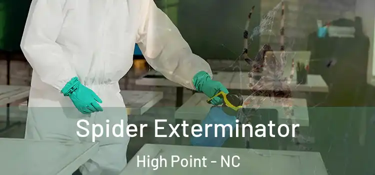 Spider Exterminator High Point - NC