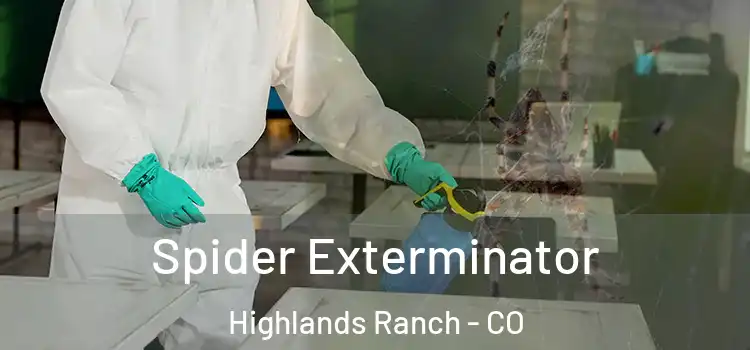  Spider Exterminator Highlands Ranch - CO
