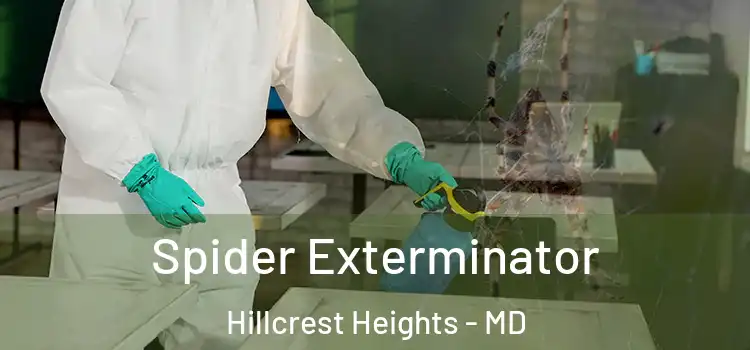  Spider Exterminator Hillcrest Heights - MD